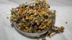 По-ниско бельо описание, местообитание, жизнен цикъл, възпроизвеждане, методи за борба